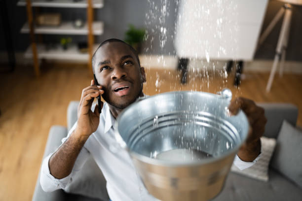 Best Residential water damage restoration  in Orleans, IN