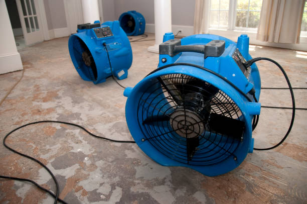 Best Water damage restoration company  in Orleans, IN